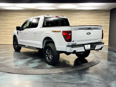 Ford F-150 photo 13