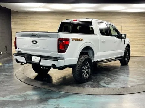 Ford F-150 photo 16