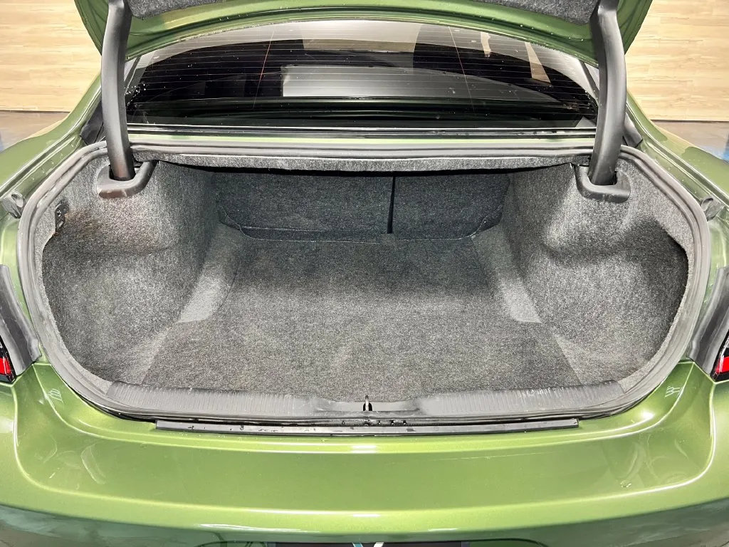 Dodge Charger photo 18