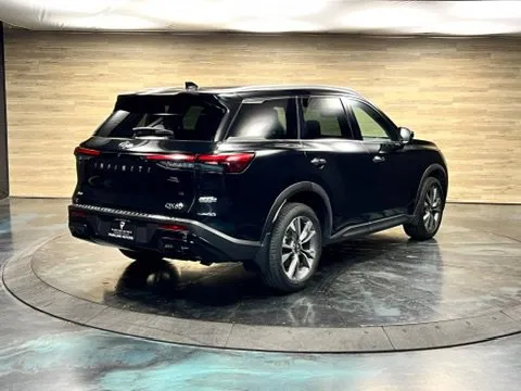 Infiniti QX60 photo 15