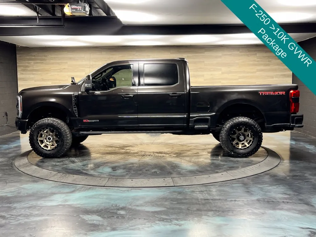 Ford F-250SD photo 10