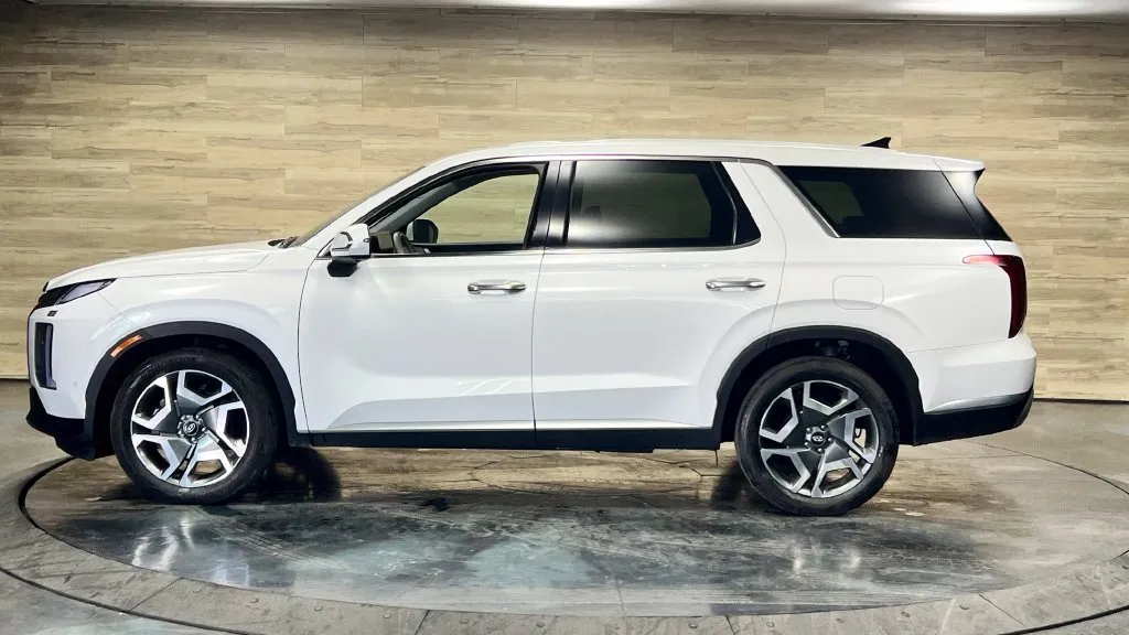 Hyundai Palisade photo 10