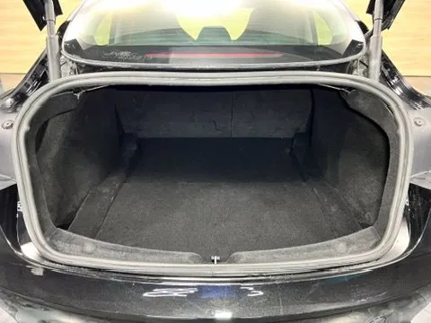 Tesla Model 3 photo 18
