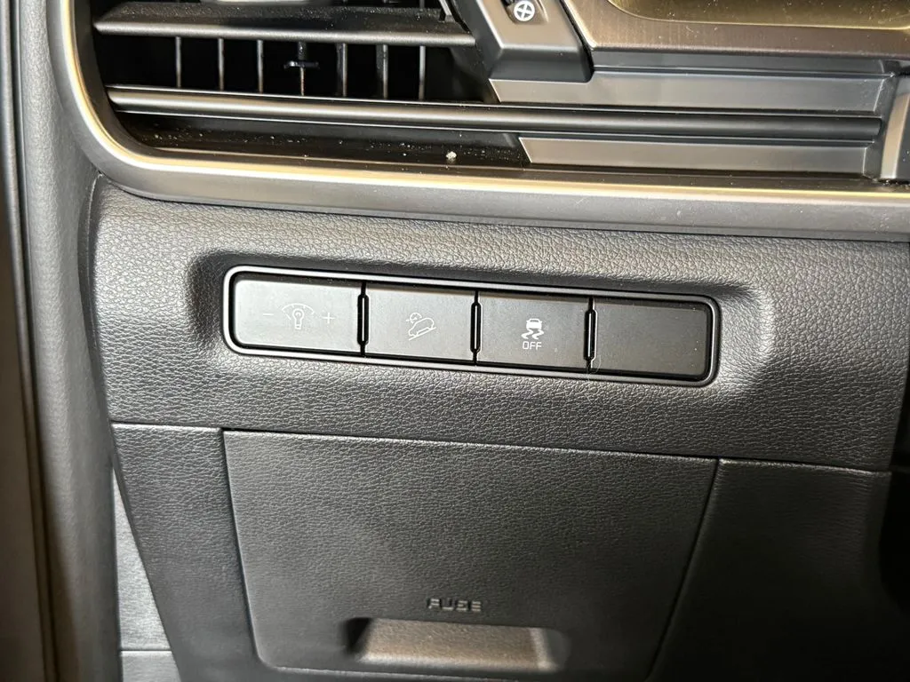 Kia Telluride photo 18