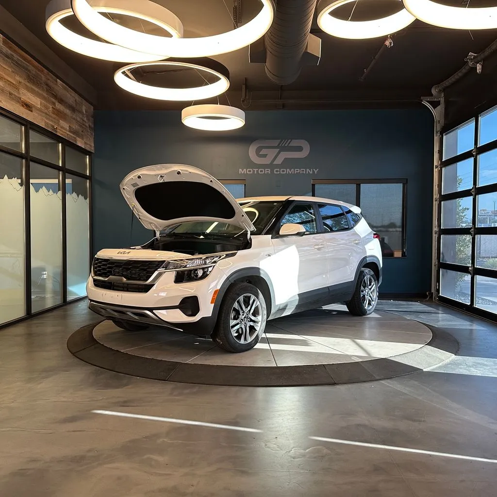 Kia Seltos photo 24