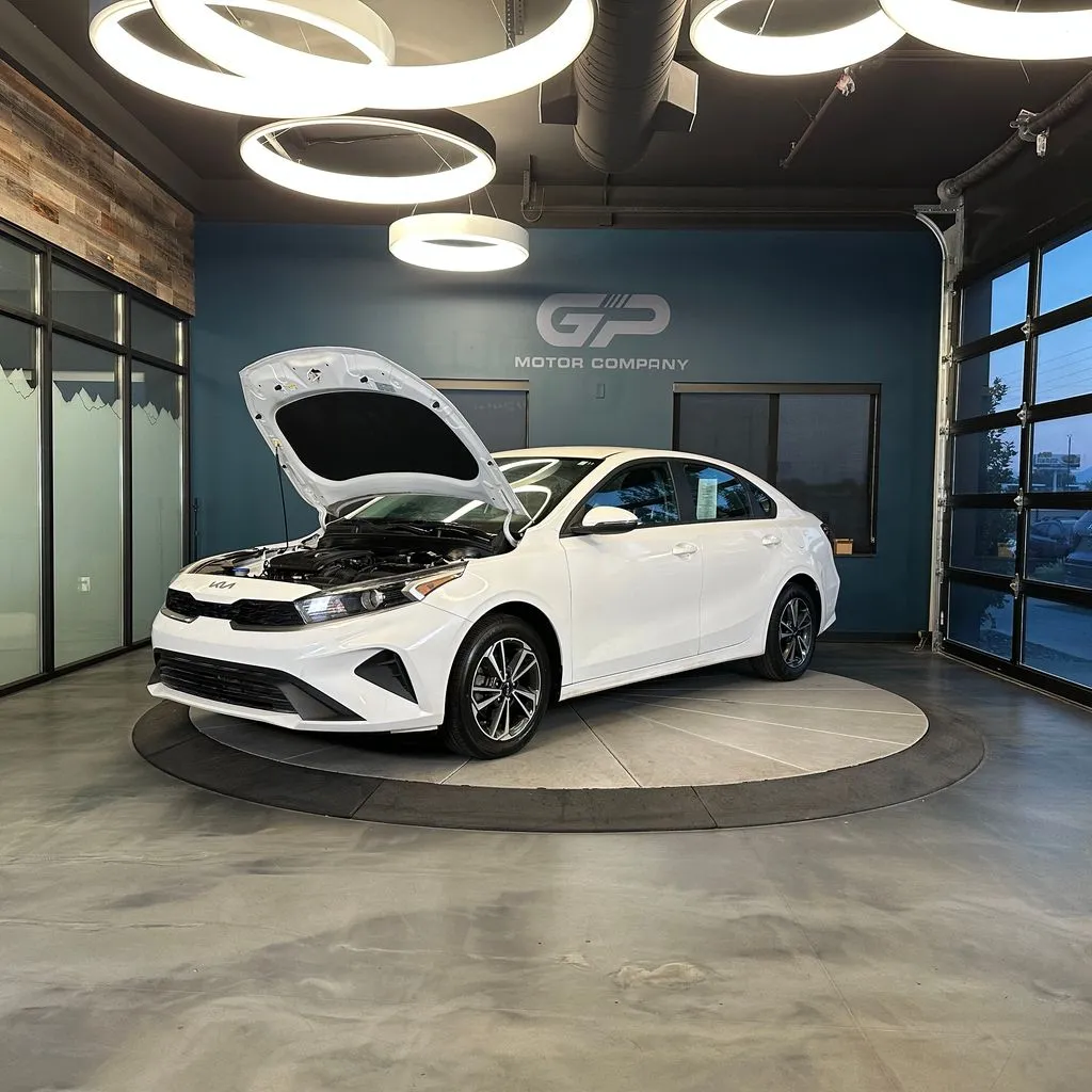 Kia Forte photo 23