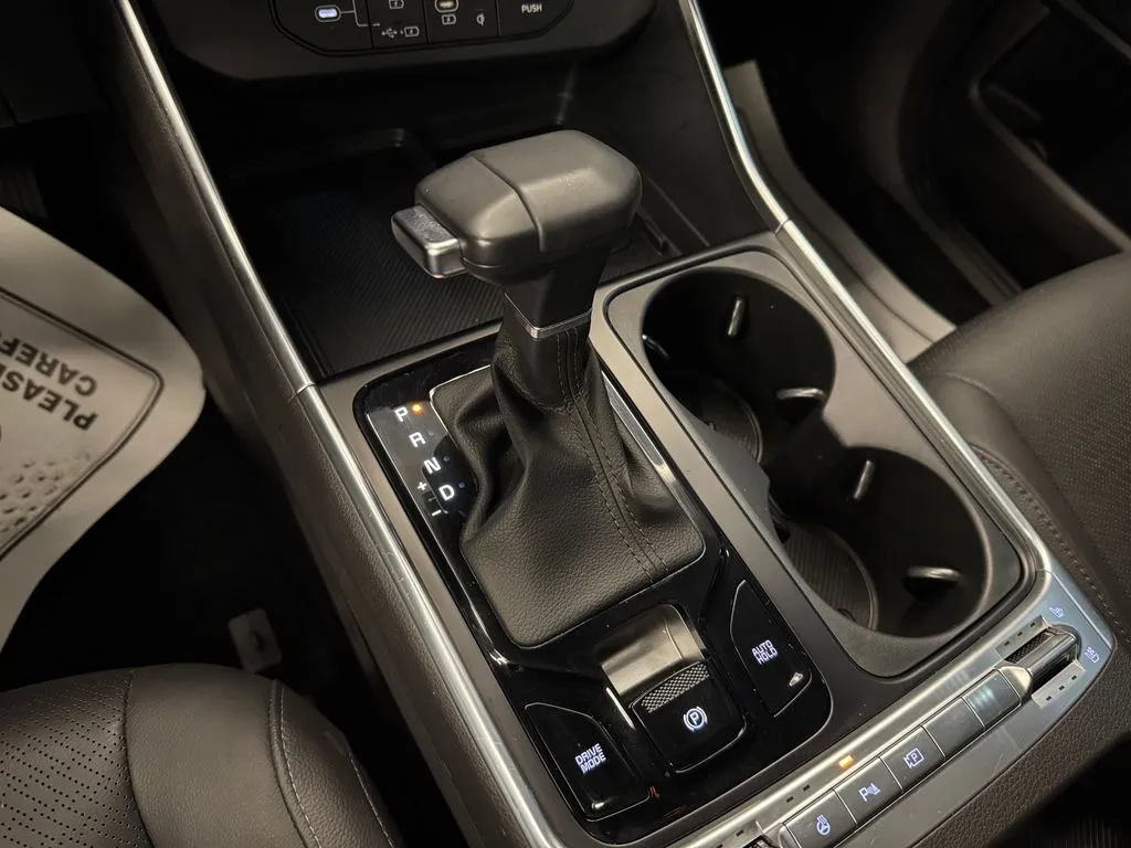 Kia Carnival photo 16