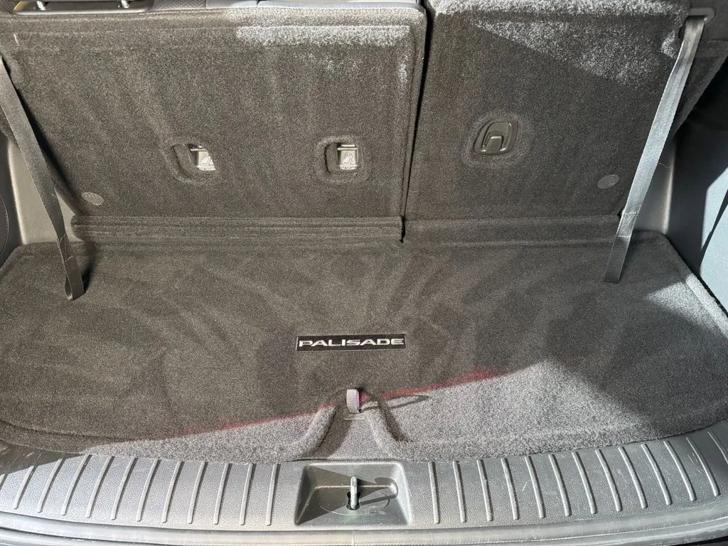 Hyundai Palisade photo 24