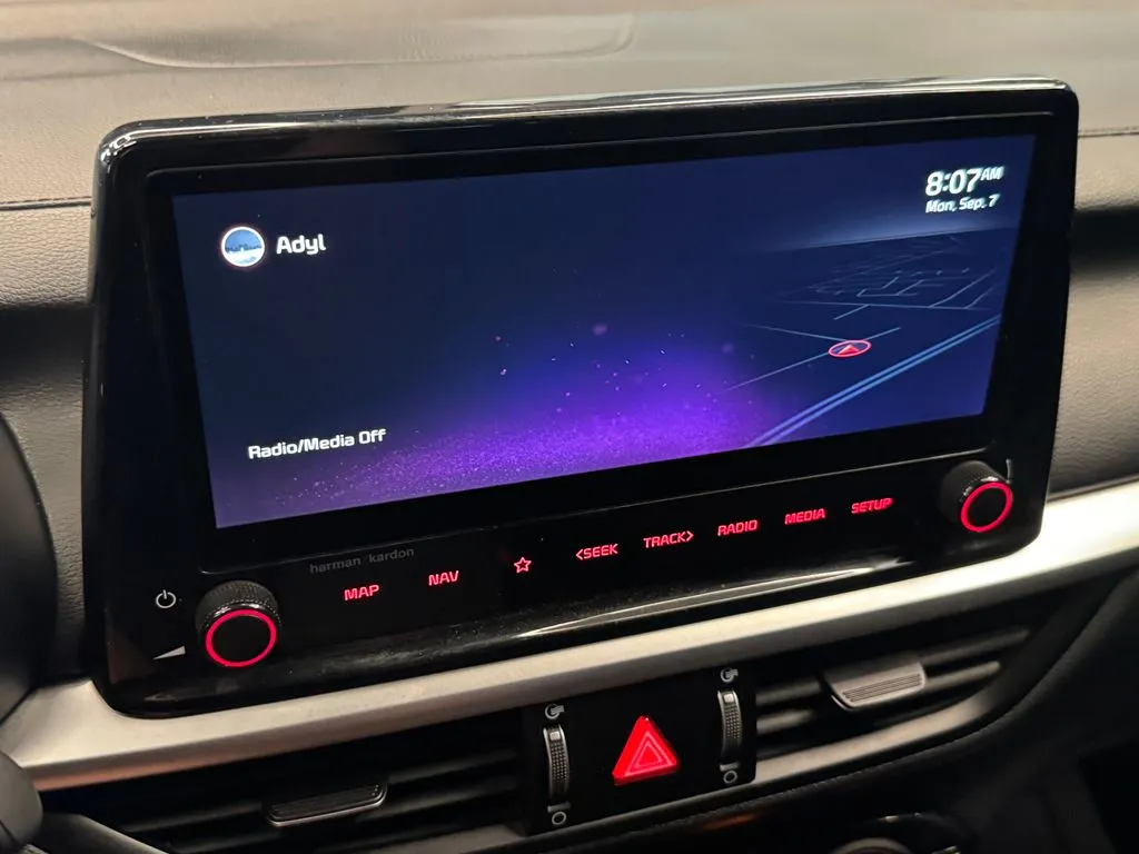 Kia Forte photo 13