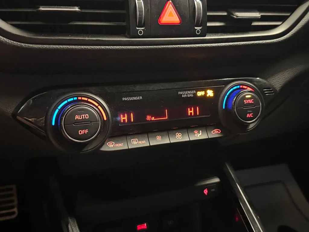 Kia Forte photo 15