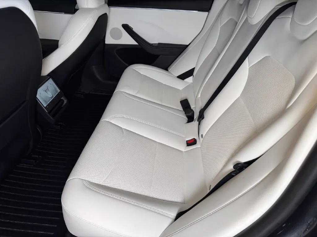 Tesla Model 3 photo 16
