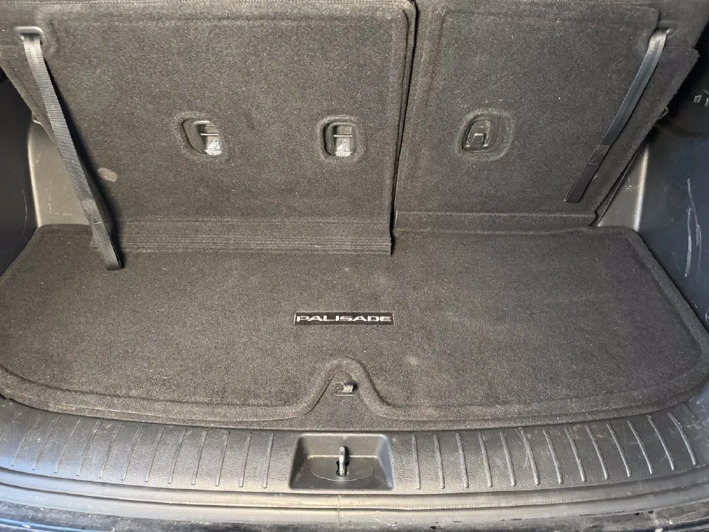 Hyundai Palisade photo 22