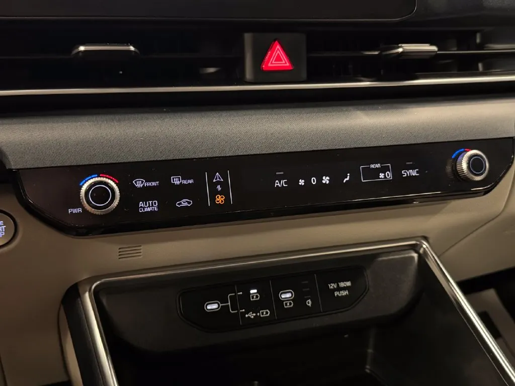 Kia Carnival photo 14