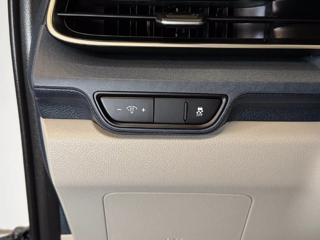 Kia Carnival photo 17