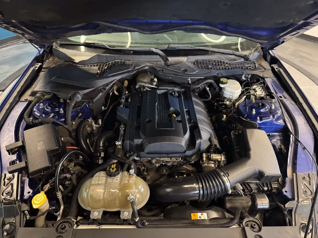 Ford Mustang photo 23