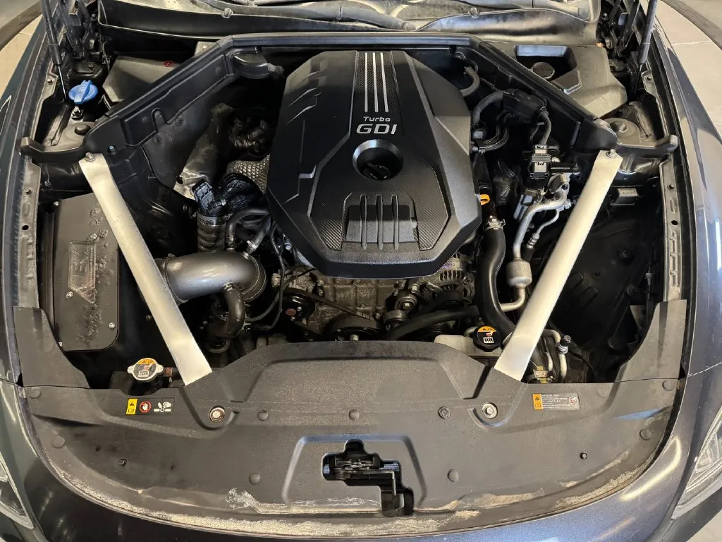 Kia Stinger photo 22