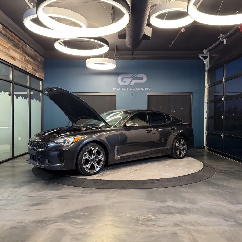 Kia Stinger photo 23