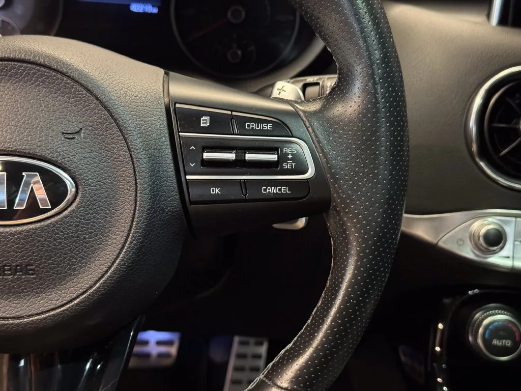 Kia Stinger photo 11
