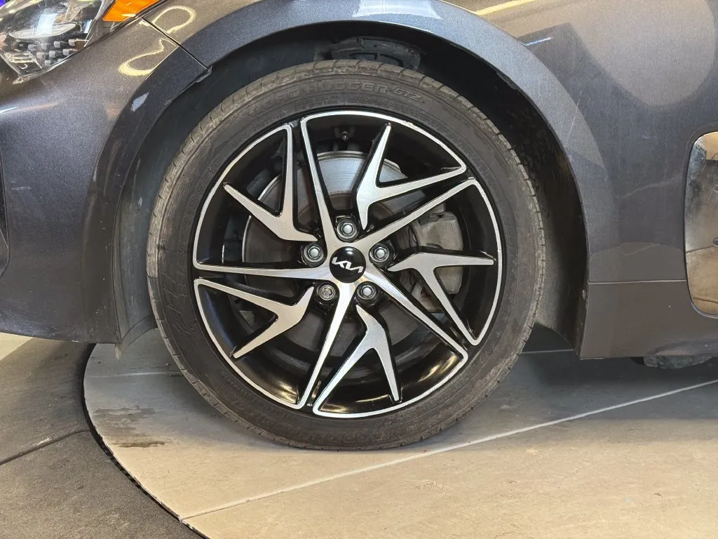 Kia Stinger photo 26
