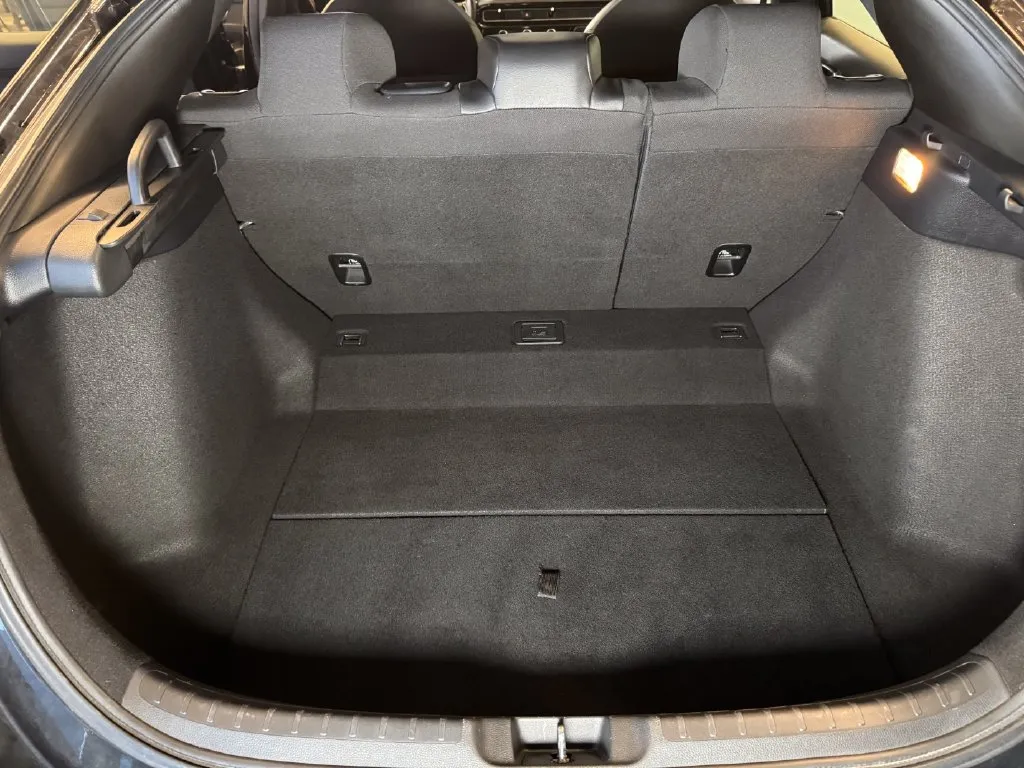 Honda Civic photo 22