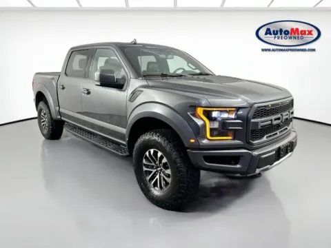 Gray 2019 Ford F-150 Raptor for sale in Framingham, MA