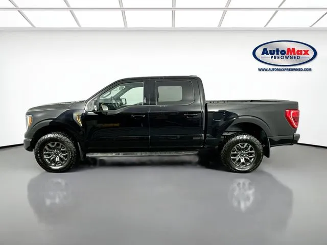 2023 Ford F-150 Tremor - Photo 9