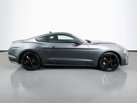 More photos of 2023 Ford Mustang EcoBoost at Superior Motor Company, MD