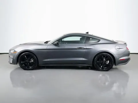 Photos of 2023 Ford Mustang EcoBoost for sale in Bel Air, MD at Superior Motor Company