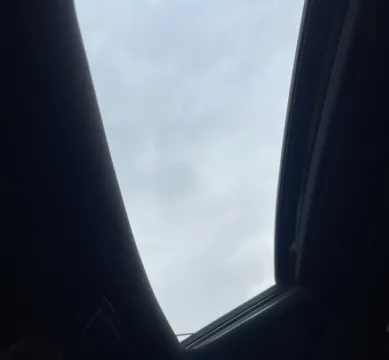 More photos of 2021 Kia Telluride SX at Carmel Auto Gallery, IN