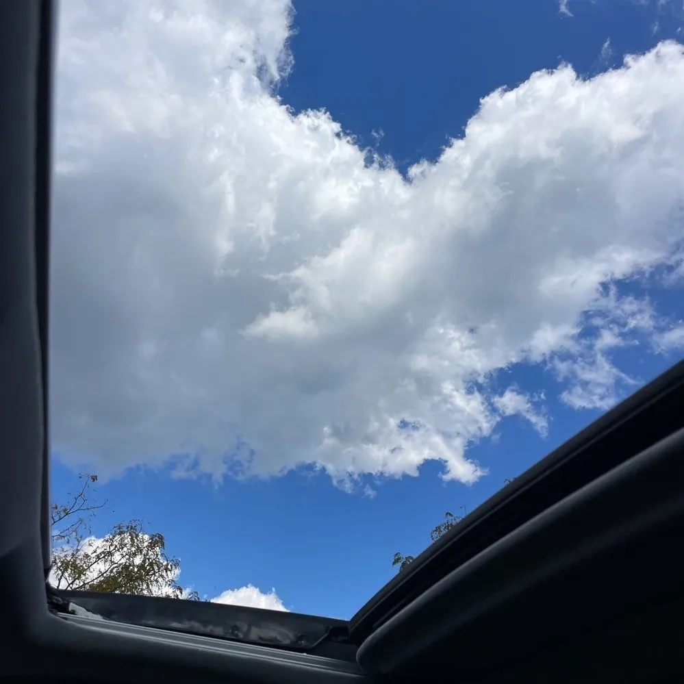 View 14