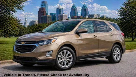 Beige 2019 Chevrolet Equinox LS for sale in Philadelphia, PA