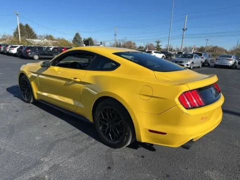 More photos of 2015 Ford Mustang EcoBoost at Funky's Automotive - A division of ETC Auto Group, OH