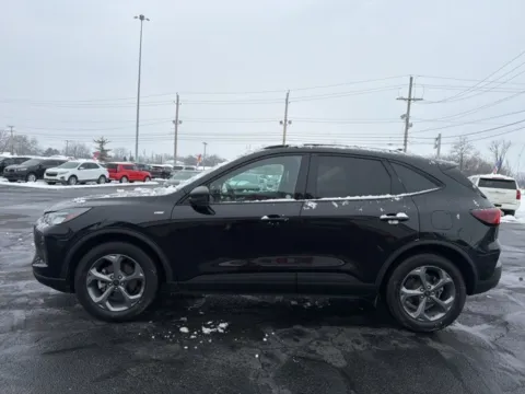 More photos of 2025 Ford Escape ST-Line at Funky's Automotive - A division of ETC Auto Group, OH