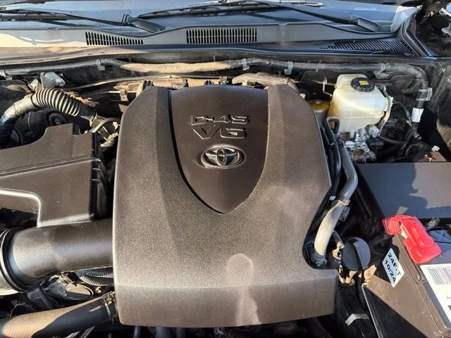 Photo 31