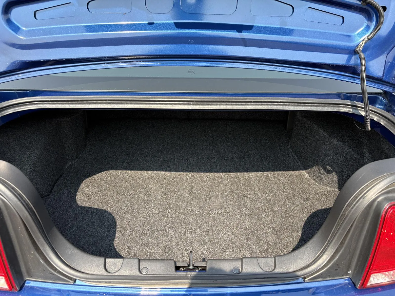 Ford Mustang photo 11