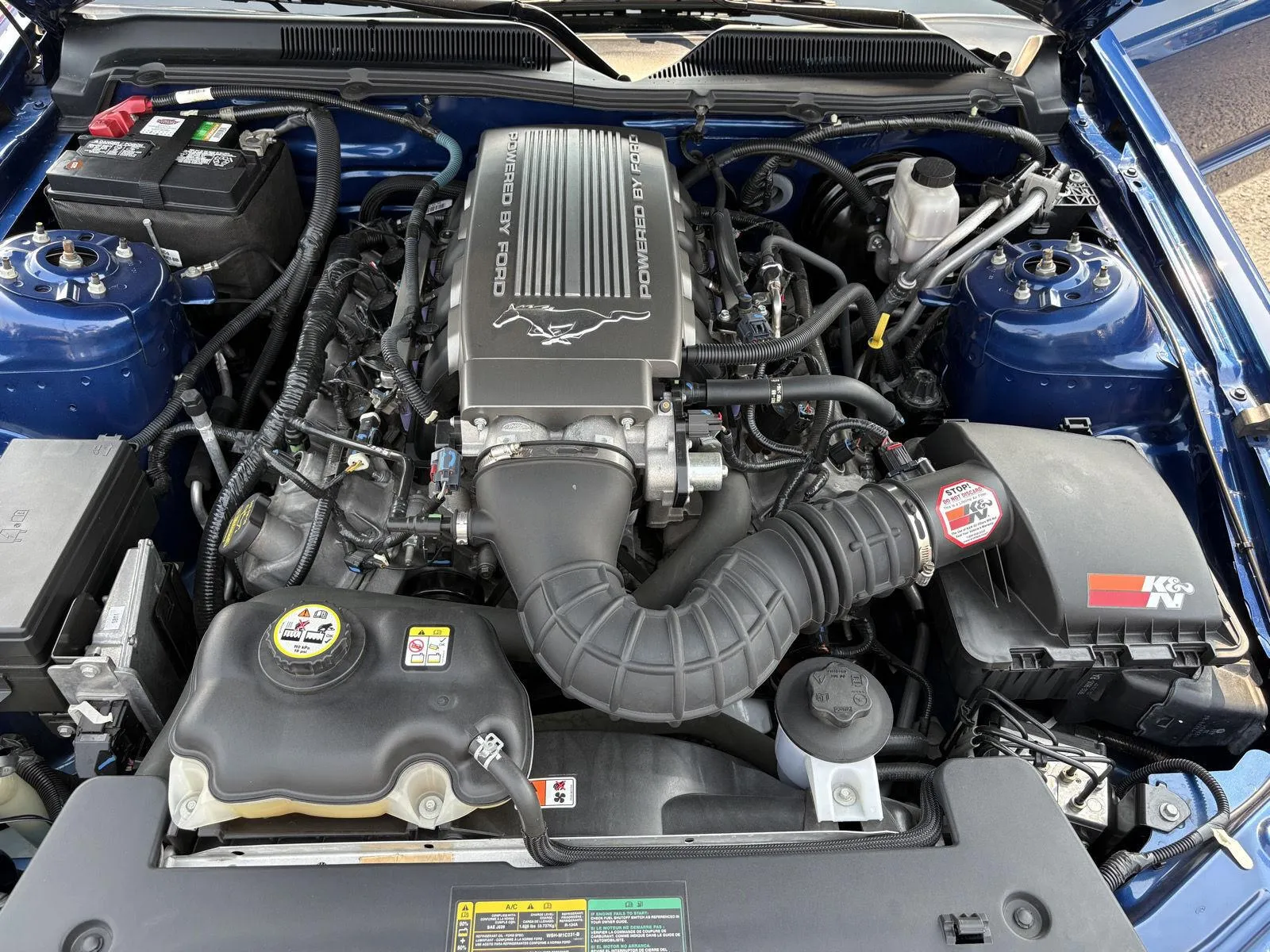 Ford Mustang photo 22