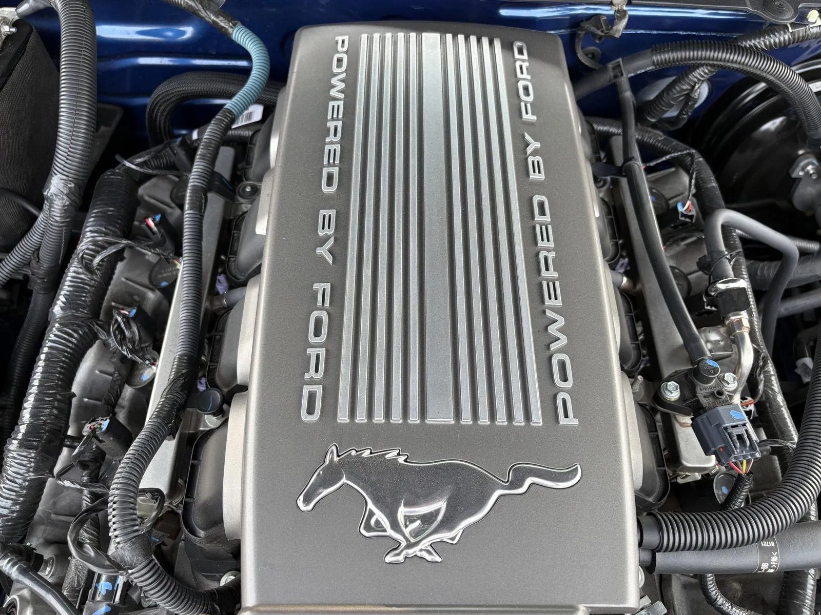 Ford Mustang photo 23
