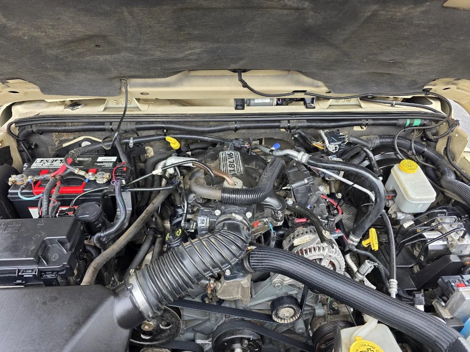 Jeep Wrangler photo 16