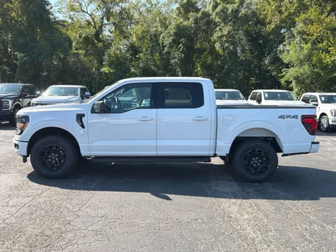 More photos of 2026 Ford F-150 XLT at Warrensburg Ford, MO