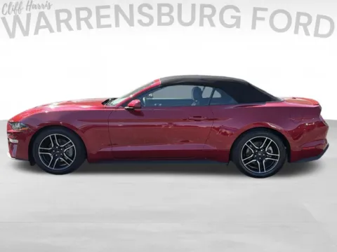 More photos of 2021 Ford Mustang EcoBoost Premium at Warrensburg Ford, MO