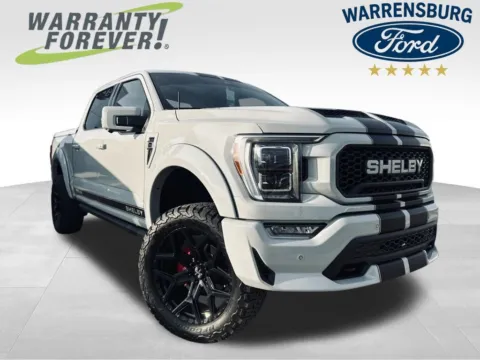 Gray 2023 Ford F-150 Lariat for sale in Warrensburg, MO