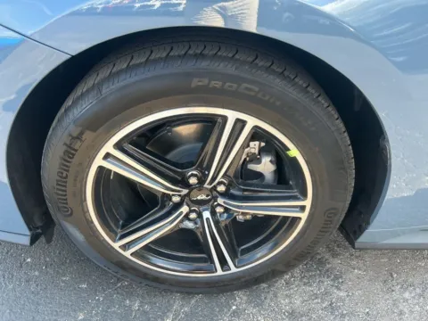 More photos of 2025 Ford Mustang EcoBoost at Warrensburg Ford, MO