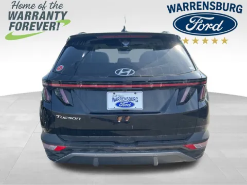 More photos of 2023 Hyundai Tucson Limited at Warrensburg Ford, MO