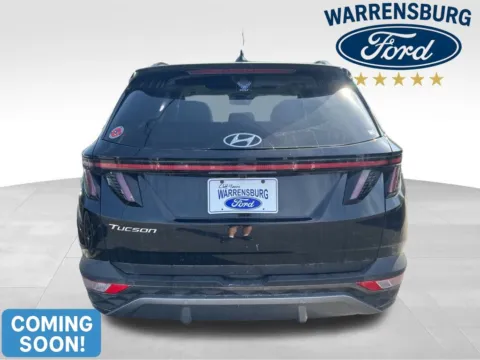 More photos of 2023 Hyundai Tucson Limited at Warrensburg Ford, MO