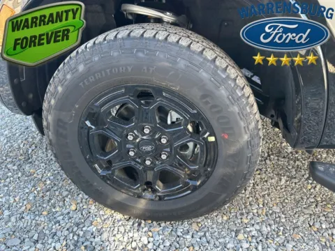 More photos of 2025 Ford Ranger XLT at Warrensburg Ford, MO