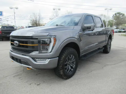 Gray 2023 Ford F-150 Tremor for sale in Jefferson City, TN