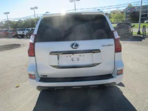 More photos of 2022 Lexus GX 460 at Farris Motor Company - Jefferson City, TN