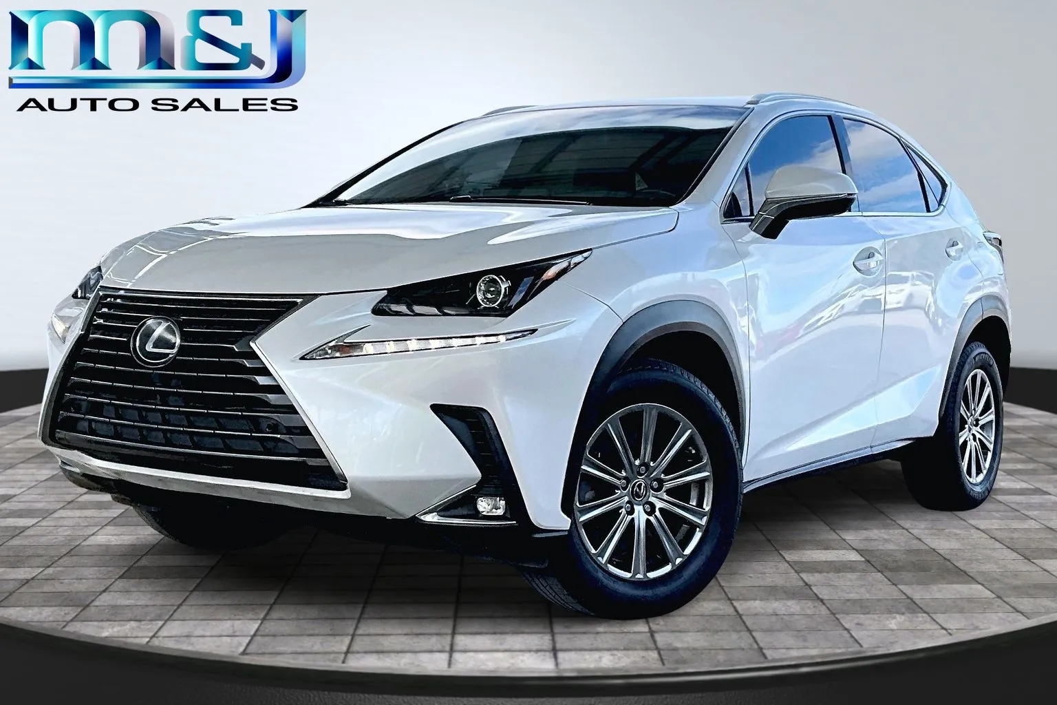 2019 Lexus NX 300's photo