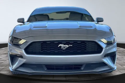 Photos of 2020 Ford Mustang for sale in Jacksonville, FL at M&J Auto Sales and Service