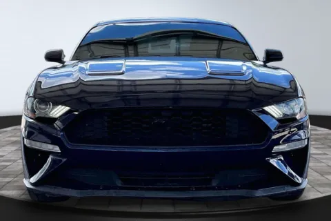 Photos of 2019 Ford Mustang for sale in Jacksonville, FL at M&J Auto Sales and Service